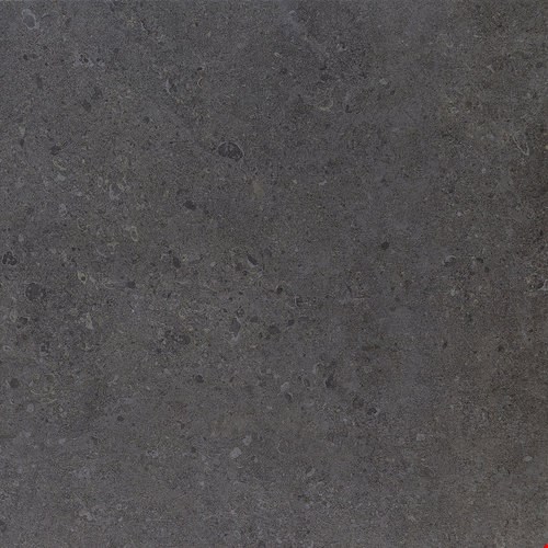 Daltile Dignitary: Governor Black 12" x 24" Light Polished Colorbody Porcelain Tile DR1112241L