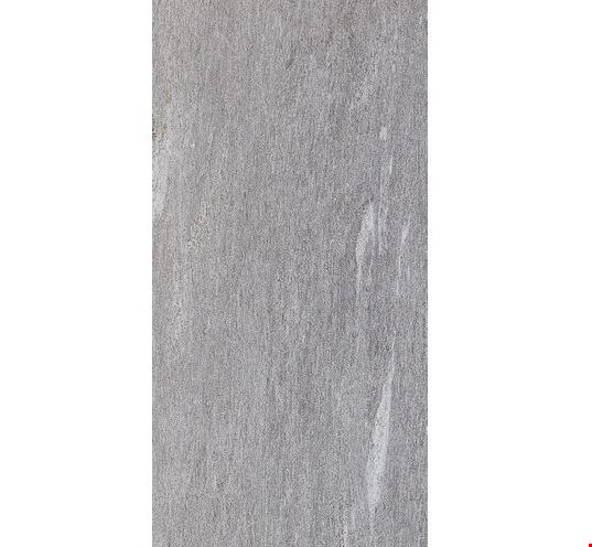 Daltile Ambassador: Global Grey  24" x 48" Unpolished Colorbody Porcelain Tile AM3524481P