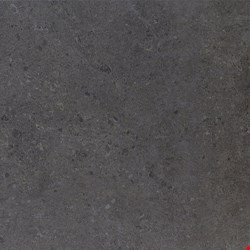 Daltile Dignitary: Governor Black 24