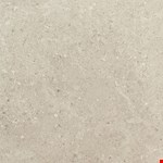 Notable Beige 12" 24" Light Polished Colorbody Porcelain Tile DR0912241L
