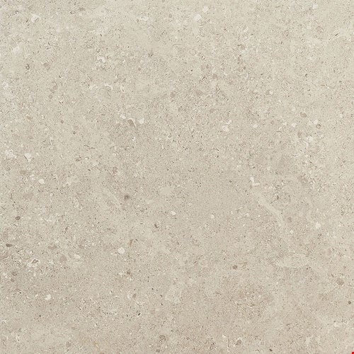 Daltile Dignitary: Notable Beige  24" x 24" Unpolished Colorbody Porcelain Tile DR0924241P