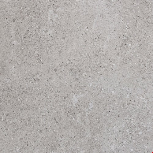 Daltile Dignitary: Eminence Grey  24" x 24" Unpolished Colorbody Porcelain Tile DR1024241PK
