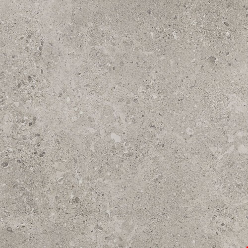 Daltile Dignitary: Superior Taupe  24" x 48" Unpolished Colorbody Porcelain Tile DR0824481P