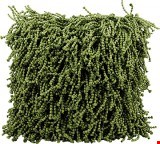 Nourison Shag Fugga 20"x20" Pillow 798019511050