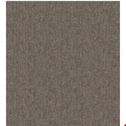 Mohawk Aladdin Breaking News: Trending Now 24