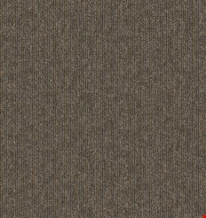 Mohawk Aladdin Breaking News: Special Report 24" x 24" Carpet Tile QA178 888