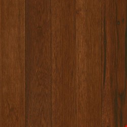 Armstrong Prime Harvest: Autumn Apple 1/2