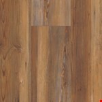 Appalachian Pine VV035-00913