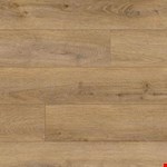 Dry Seed PARC604-CANOAK5DRY