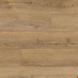 Paramount RigidCORE Capstone: Dry Seed 6