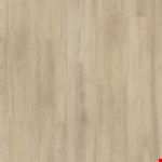 Millstone Sycamore RCP6546