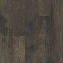 Armstrong American Scrape: Pacific Coast 1/2