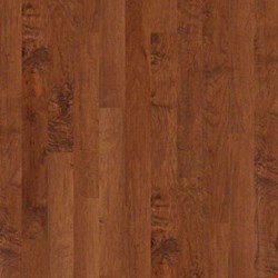 Shaw Epic Plus Coral Springs: Surfside 3/8