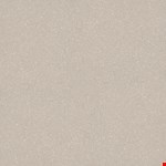 Soft Warm Gray 5C861