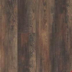 Shaw Pantheon HD Plus: Orso Luxury Enhanced Vinyl Plank 2001V 794
