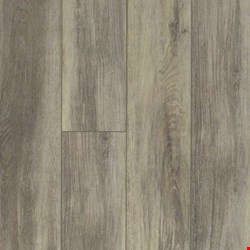 Shaw Floorte Tivoli Plus: Delfino Luxury Enhanced Vinyl Plank with Attached Pad 0845V 577