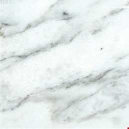 MS International Marble: Arabescato Carrara 12" x 24" Honed Marble Tile TARACAR12240.38H