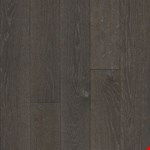 Cove Forest SAKAR59L408X