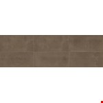 Baritone Brown CH2424241PK