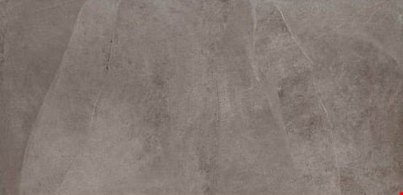Daltile Delegate: Light Grey 20" x 40" Porcelain Tile DL2620402CM1P