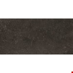 24" 48" Porcelain Tile DP0324481P