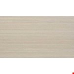 Linear 24" Unpolished Porcelain Tile ML6212241PK