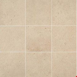 Daltile Industrial Park: Natural Beige 12