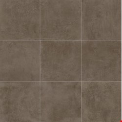 Daltile Portfolio: Fango 24