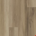 Almond Oak 154