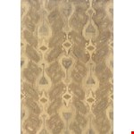 Ivory (A68004244305ST) 8'0" 10'0"