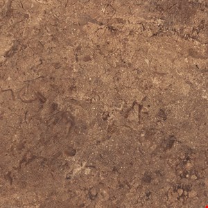 Congoleum Duraceramic Renaissance: Ginger Luxury Vinyl Tile RN-56