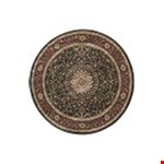 Brown (A095N2240240ST)