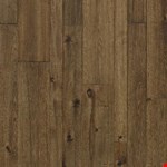 Saffron 2", 3", BBR05SN1