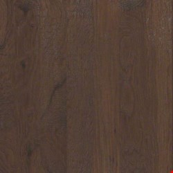 Shaw Epic Plus Sequoia: Canyon 3/8