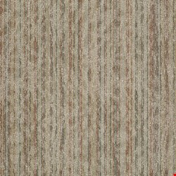 Shaw Amaze: Impress 24