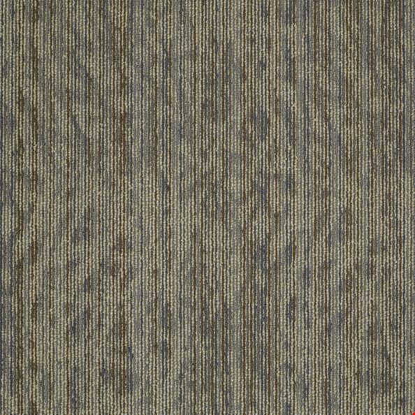 Shaw Amaze: Daze 24" x 24" Carpet Tile 54588 105