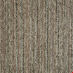 Shaw Amaze: Astonish 24