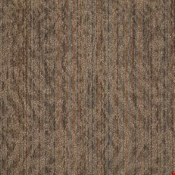 Shaw Amaze: Bewilder 24