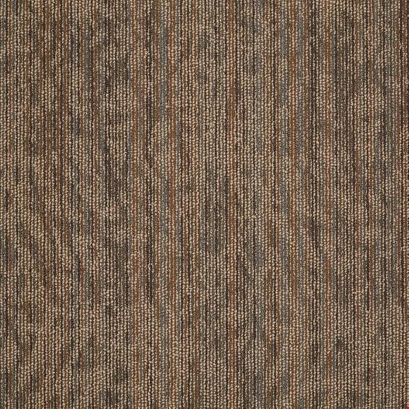 Shaw Amaze: Bewilder 24" x 24" Carpet Tile 54588 205