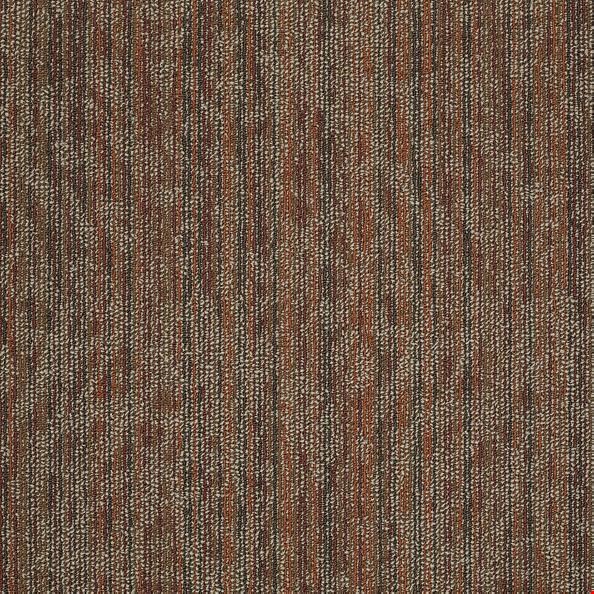 Shaw Amaze: Shock 24" x 24" Carpet Tile 54588 800