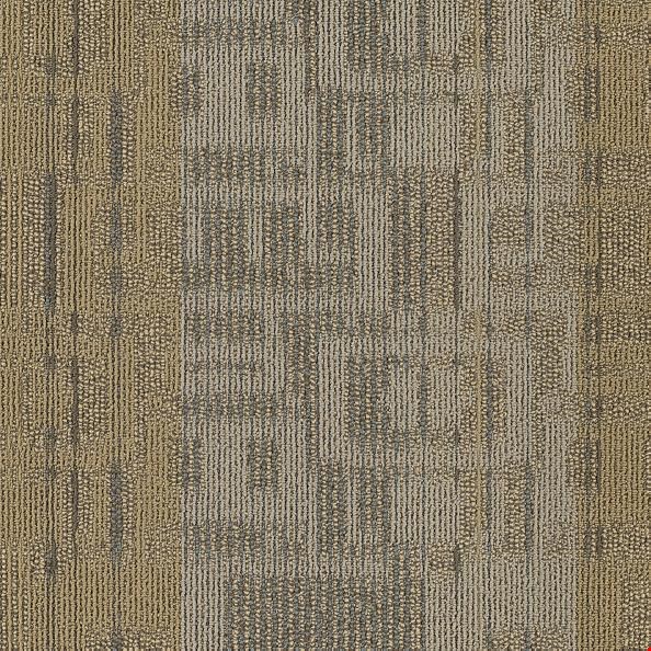 Shaw Ad Lib: Press Conference 24" x 24" Carpet Tile 54474 108