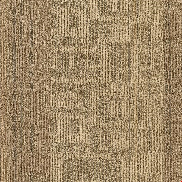 Shaw Ad Lib: Quick Comment 24" x 24" Carpet Tile 54474 110