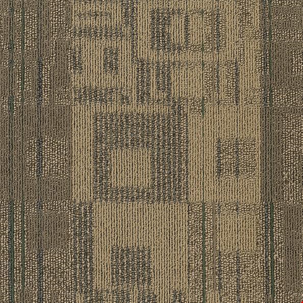 Shaw Ad Lib: Reality TV 24" x 24" Carpet Tile 54474 311