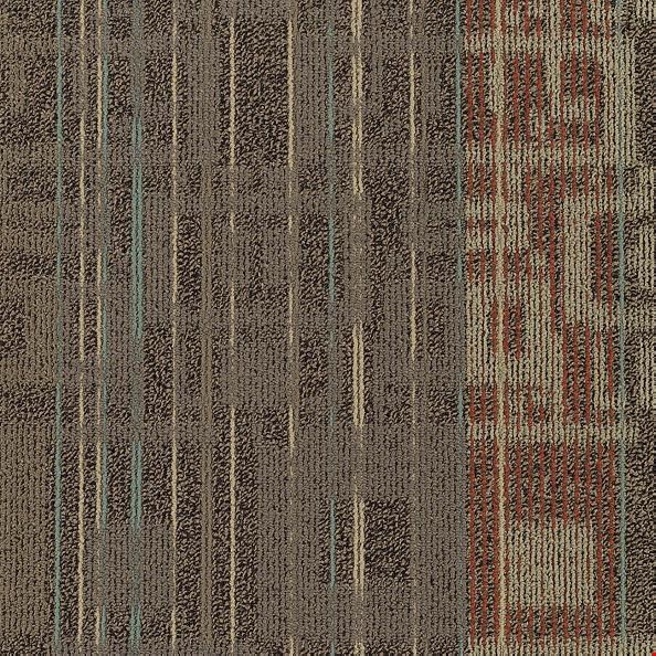 Shaw Ad Lib: Stump Speech 24" x 24" Carpet Tile 54474 504