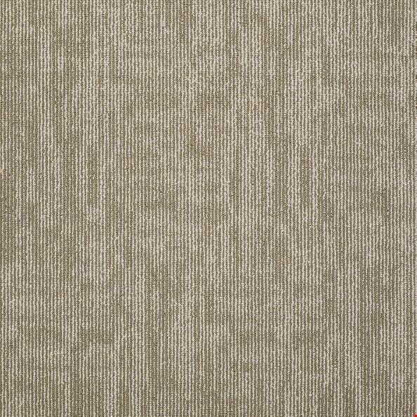 Shaw Carbon Copy: Mirror Image 24" x 24" Carpet Tile 54806 6100
