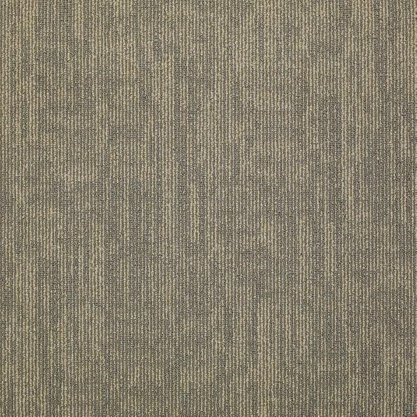 Shaw Carbon Copy: Transfer 24" x 24" Carpet Tile 54806 6503