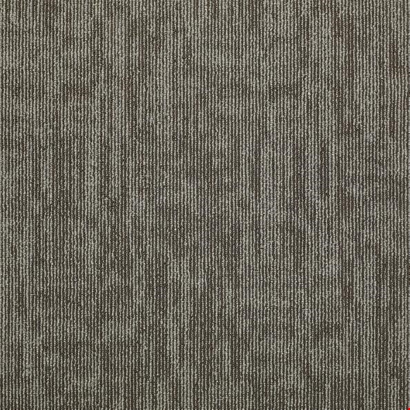 Shaw Carbon Copy: Clone 24" x 24" Carpet Tile 54806 6710