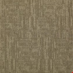 Shaw Carbon Copy: Knock Off 24