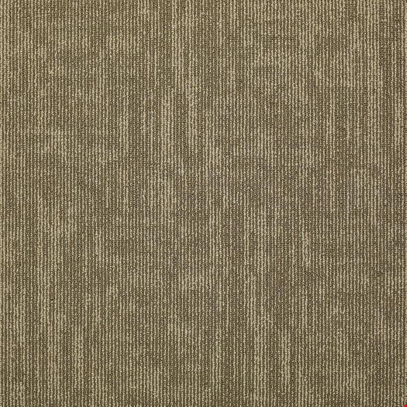 Shaw Carbon Copy: Knock Off 24" x 24" Carpet Tile 54806 6720