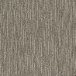 Shaw Dynamo: Brilliant 24